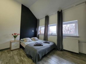 Apartament Centrum w Parku przy Katedrze nr 9